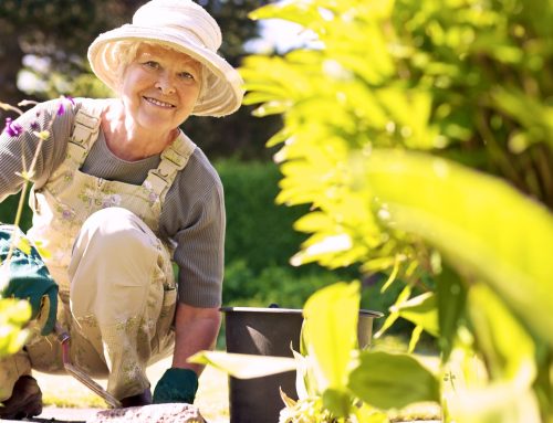 Cultivating Purpose: A Game Changer For Your Community